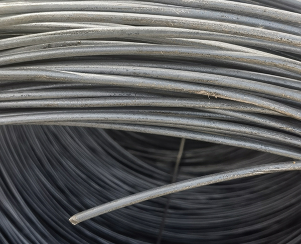 盘螺 ​چاڭگىر بۇرجەك​