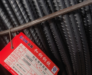 盘螺 ​چاڭگىر بۇرجەك​